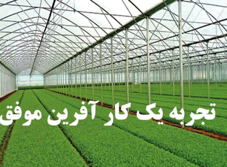 همیاران