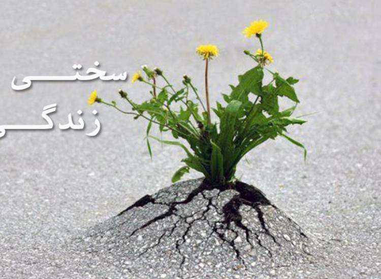 سختی زندگی