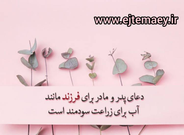 خانواده