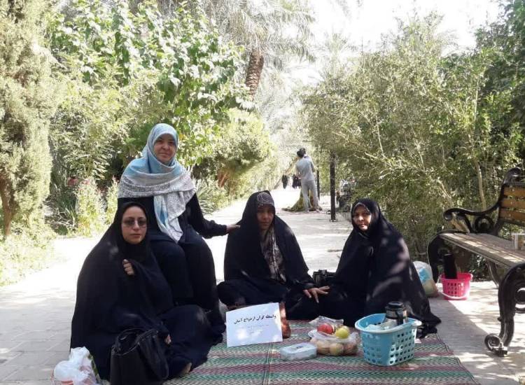 اخبار
