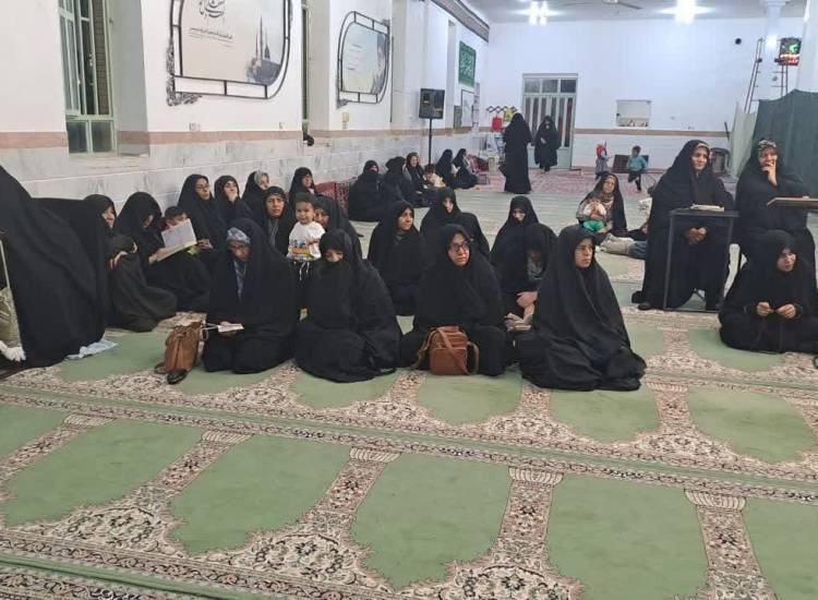 اخبار