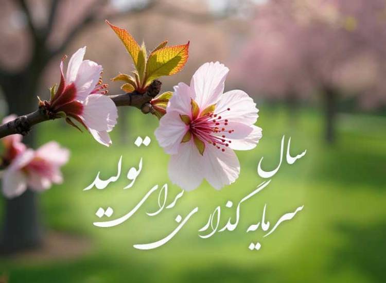 سال