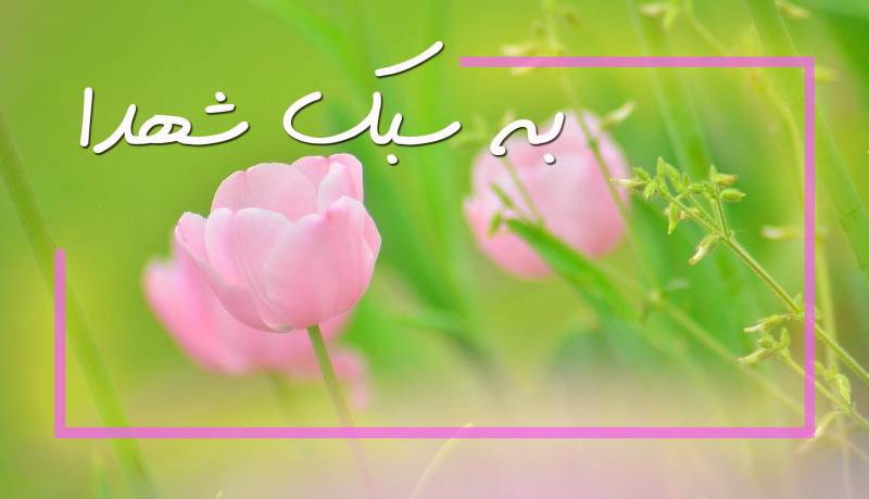 شهدا